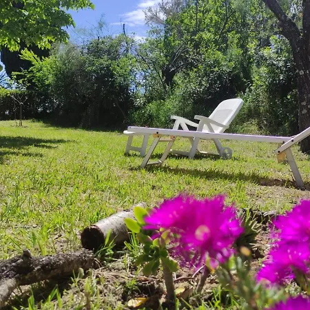 Daire Elisa